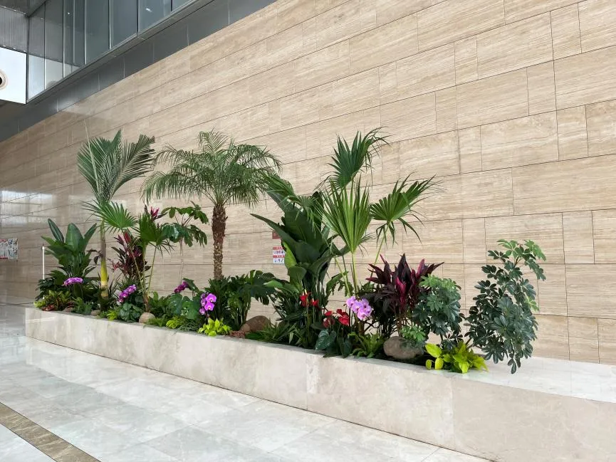 揭秘宁波余姚绿植出租方案，让空间焕发生机